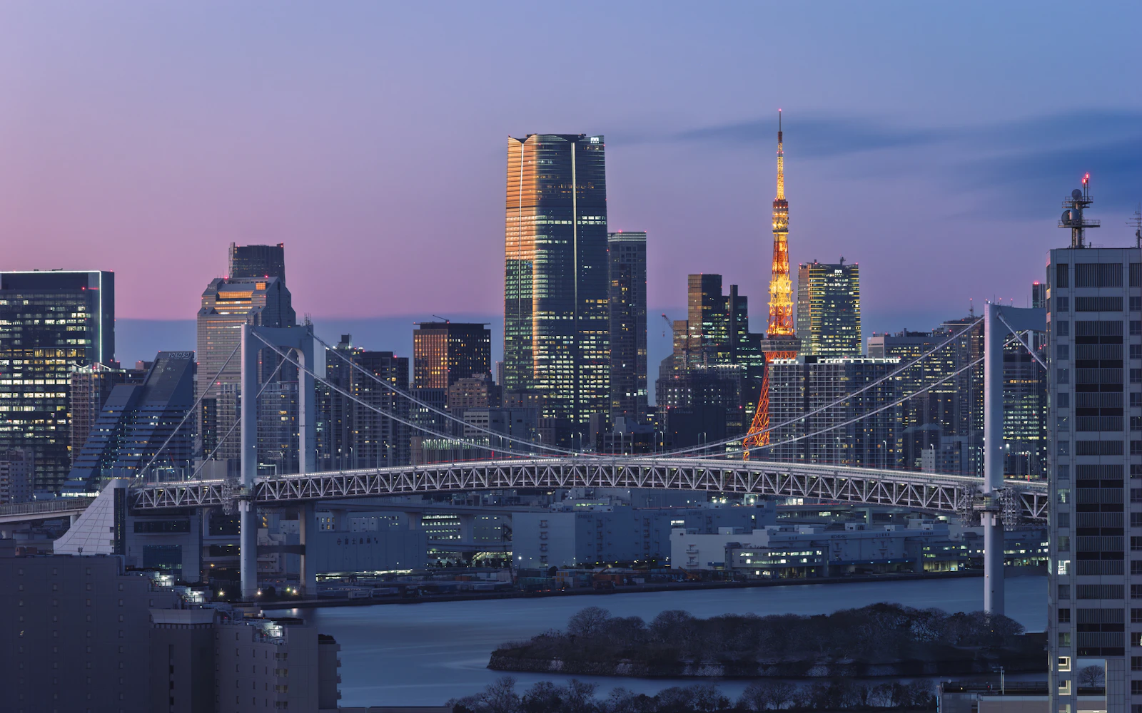 Tokyo skyline with Rainbow Bridge at dusk